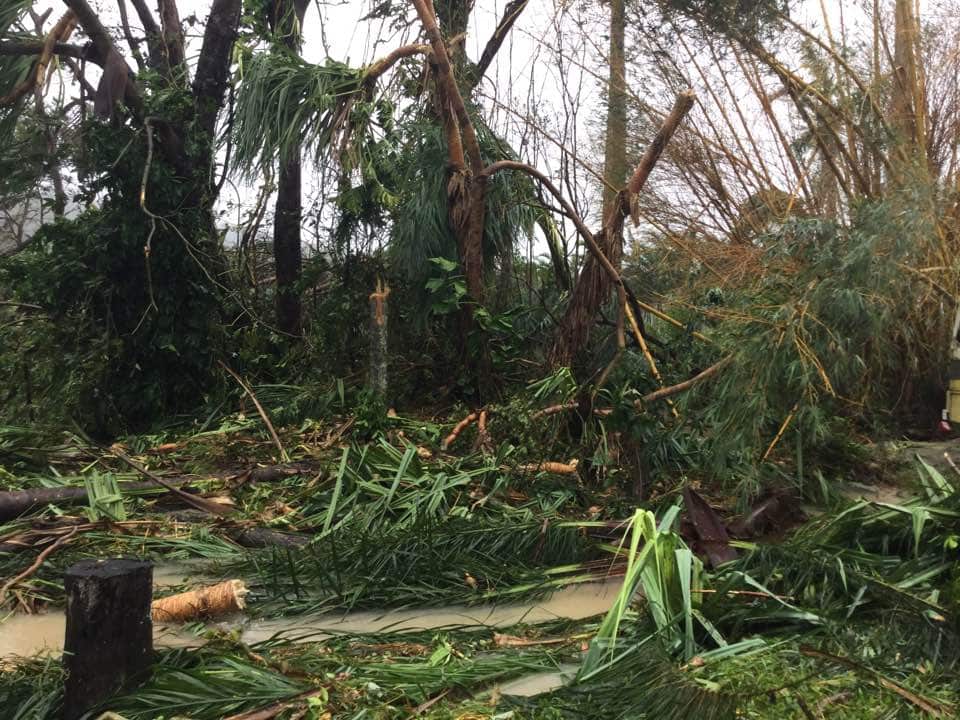 Flametree Tourist Village in Airlie Beach
