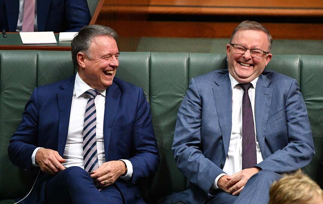 Joel Fitzgibbon (left) and Anthony Albanese enjoying themselves during QT on Thursday. 