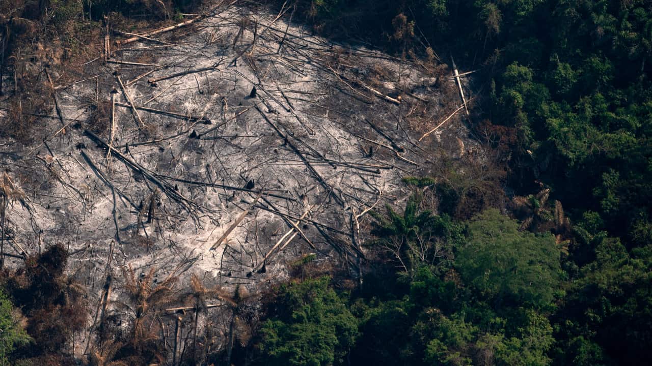 A destroyed area in the Menkragnoti Indigenous reserve in the Amazon rainforest.