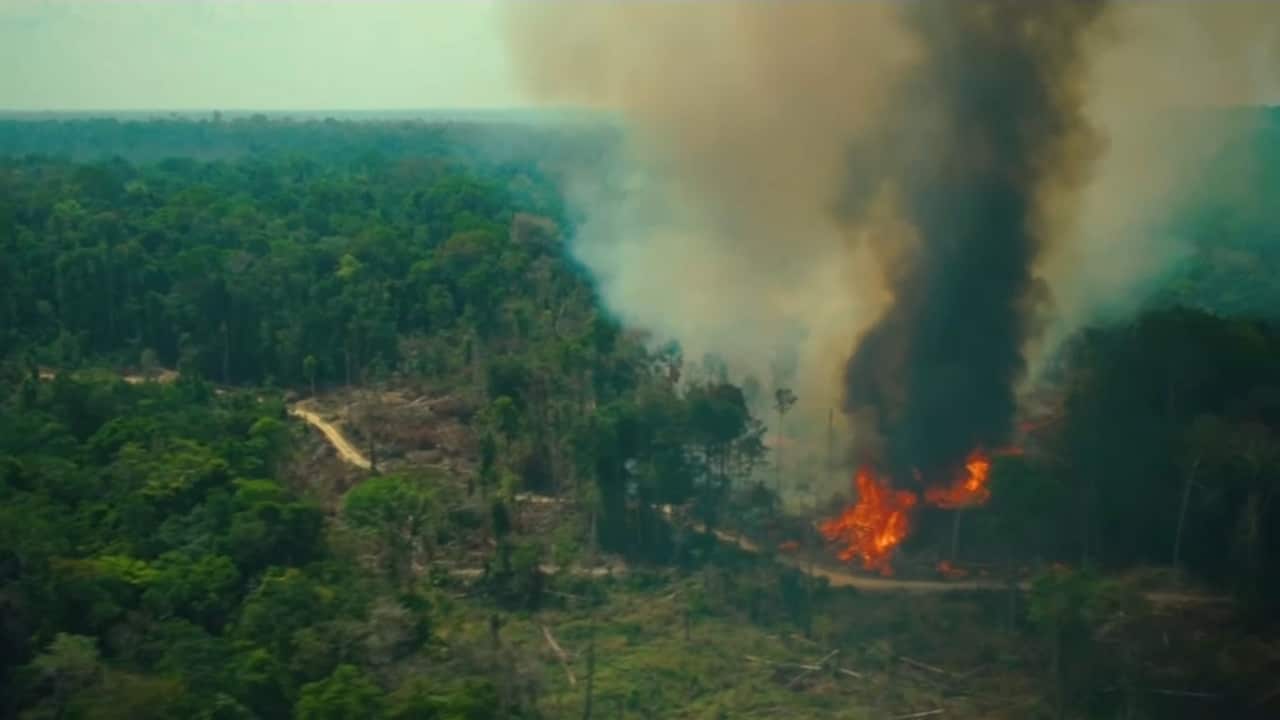 The Amazon produces vast amounts of oxygen and is considered crucial in efforts to contain global warming.