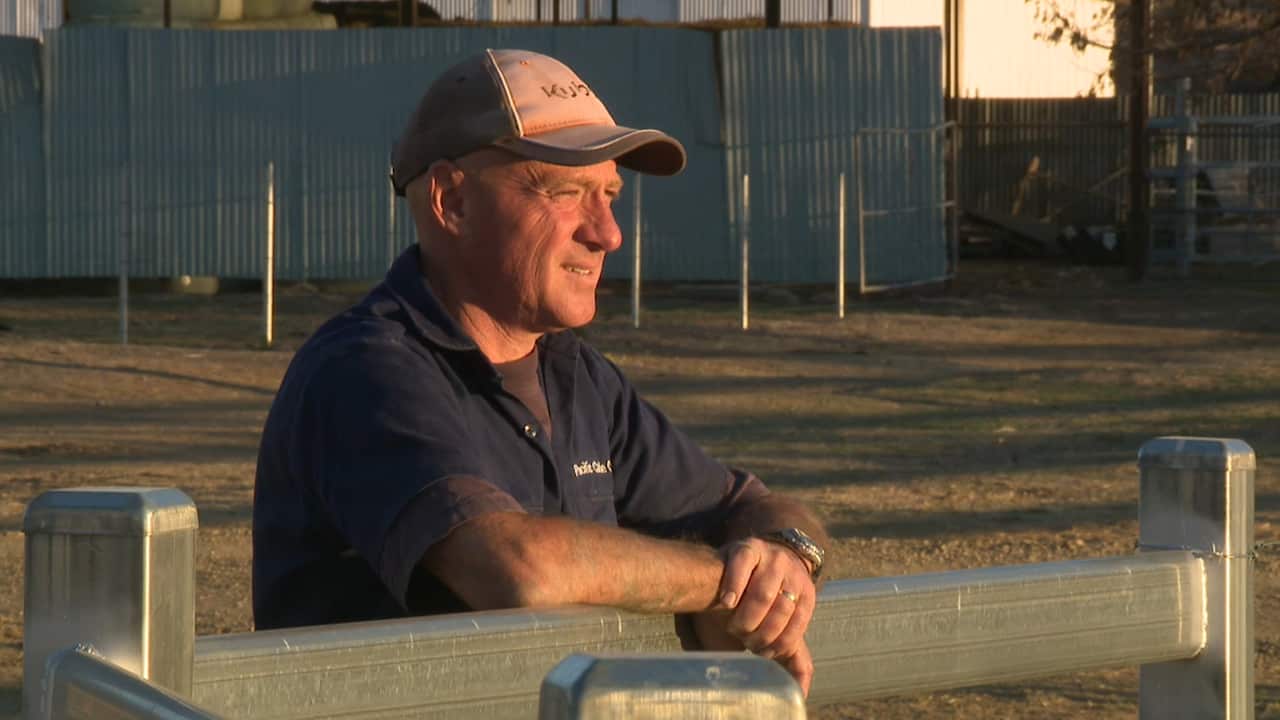 Drought-stricken farmers say money won't fix the devastating crisis