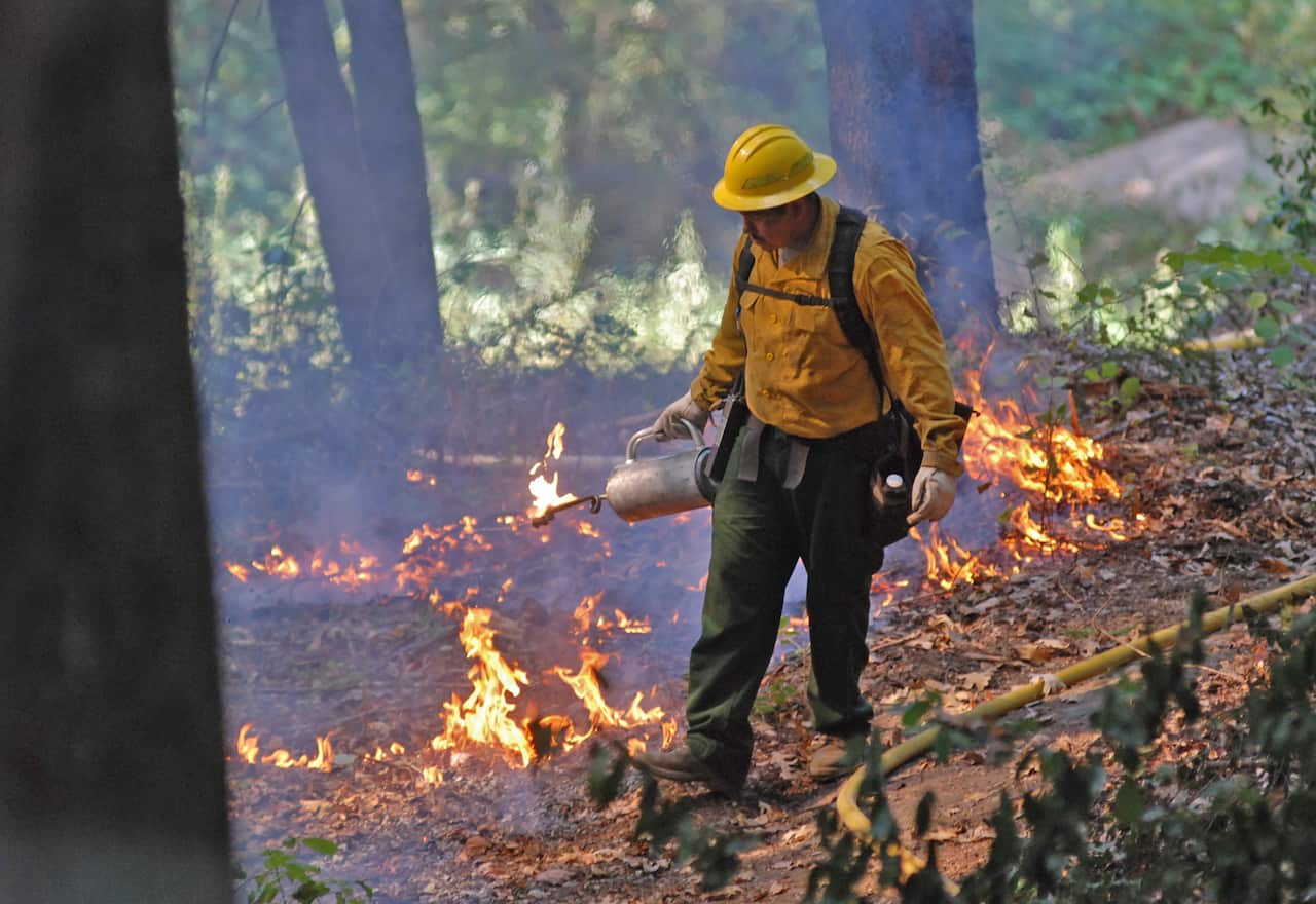 Yurok Tribe cultural burning