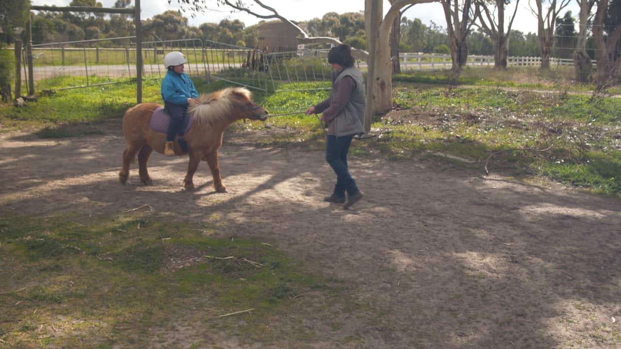 School excursions and incursions are an important part of the Animal Land business.
