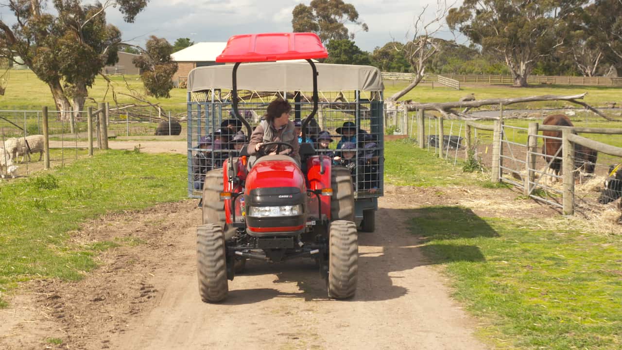 Animal Land offers an authentic farm experience.