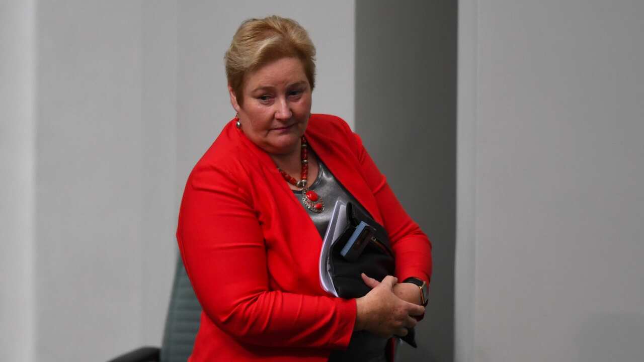 Liberal Member for Gilmore Ann Sudmalis.