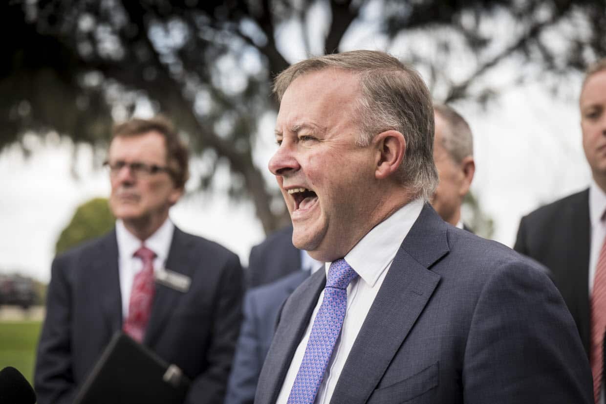 Anthony Albanese speaks to the media.