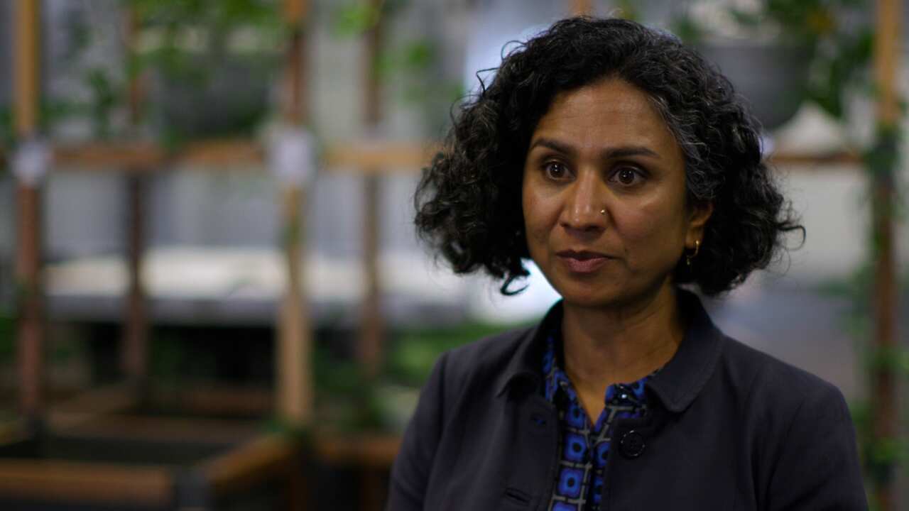 Dr Nadia Chaves is an infectious diseases expert.