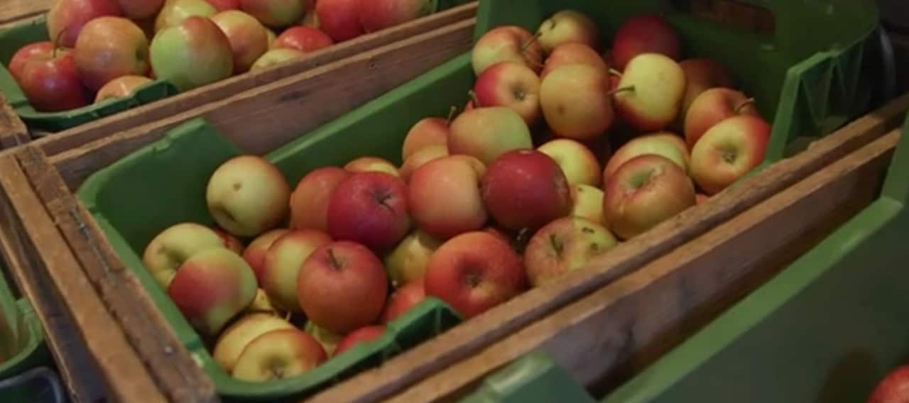 Organic fruit is is demand, amid rising concerns about chemicals and pesticides in food.