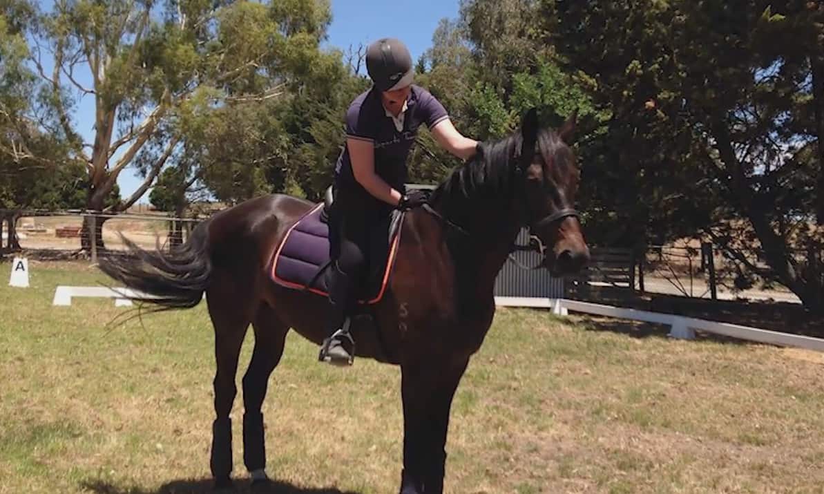 Ara Champ and her new, young dressage horse Chokkie.