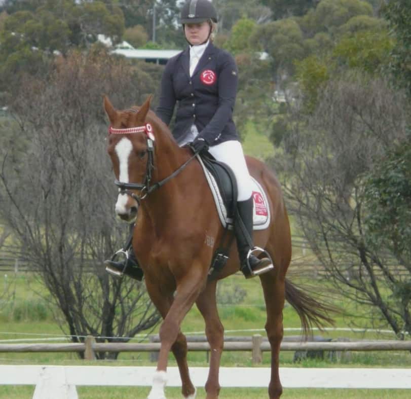 Ara Champ has competed in dressage events from a young age.