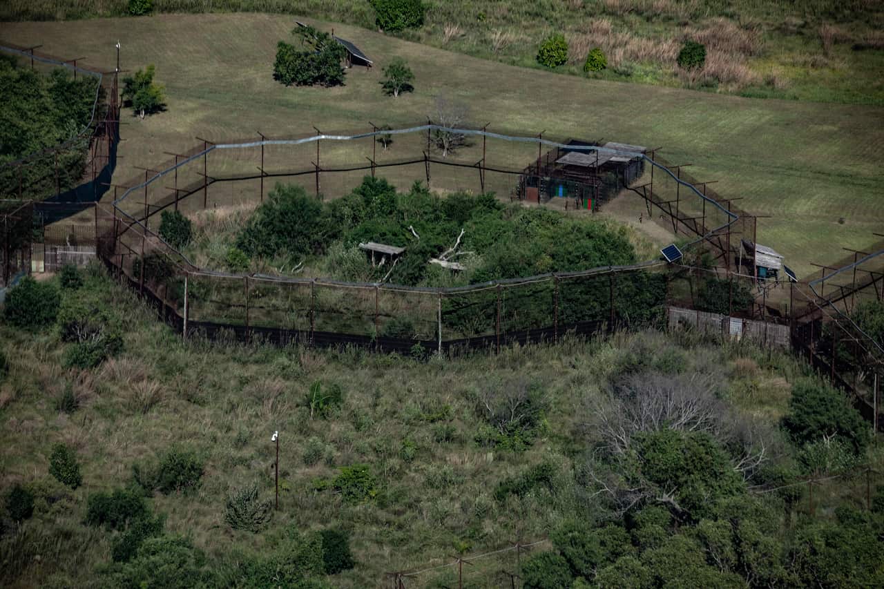 Jaguars are being kept in these large pens before they are fully released back into the wild, at Iberá National Park.