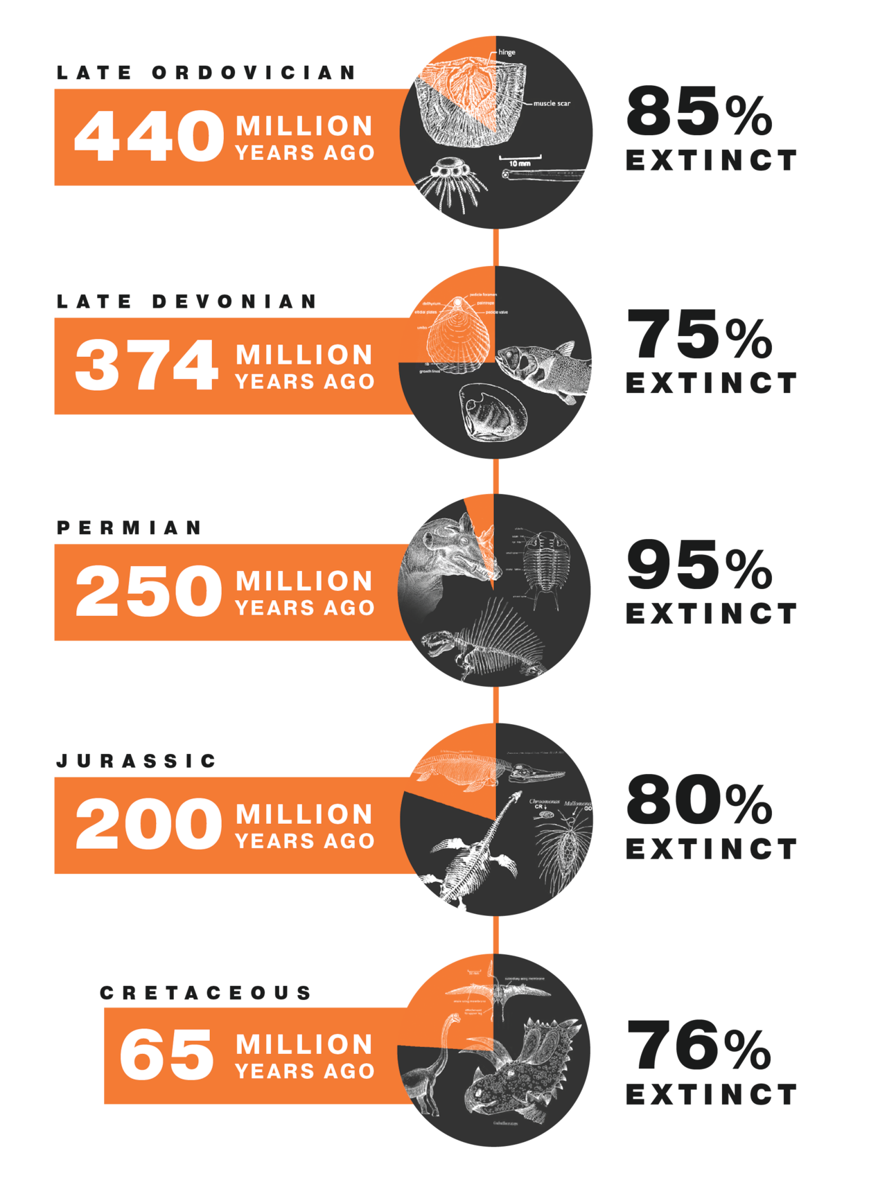extinction case graphic
