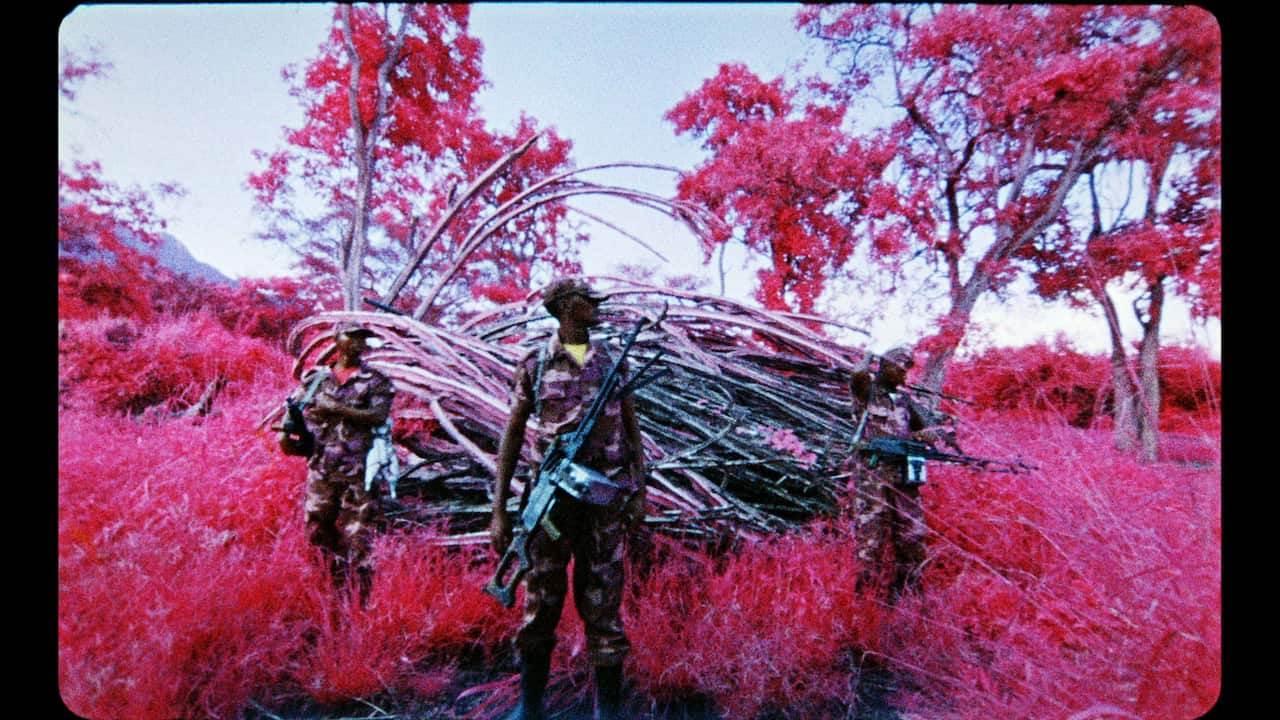 A still from Richard Mosse's video installation 'The Enclave'.