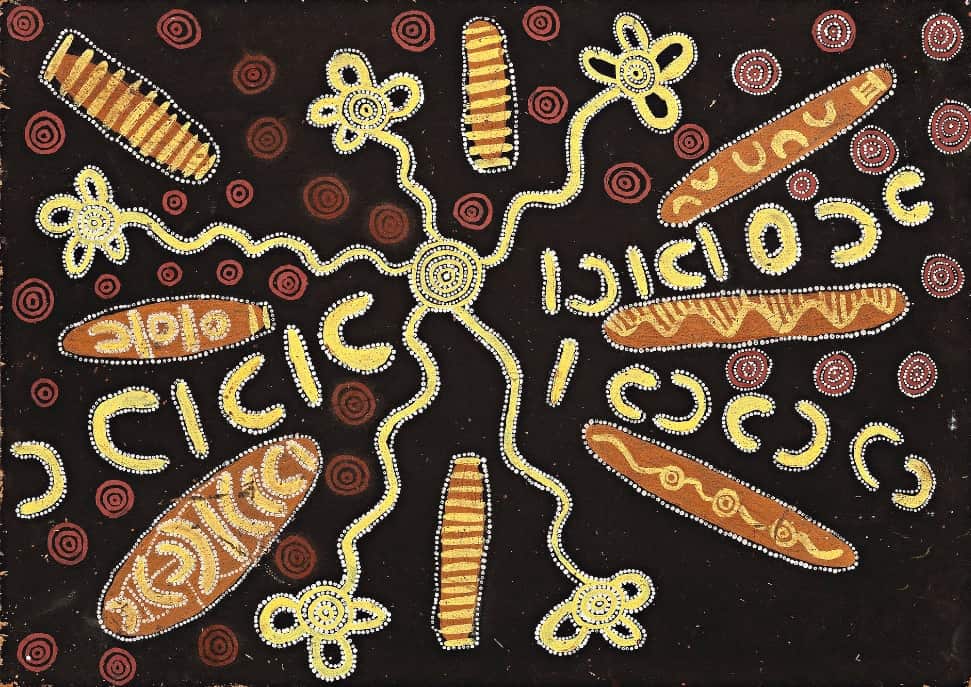 Tommy Lowry Tjapaltjarri's 1976 piece called Woman's Dreaming