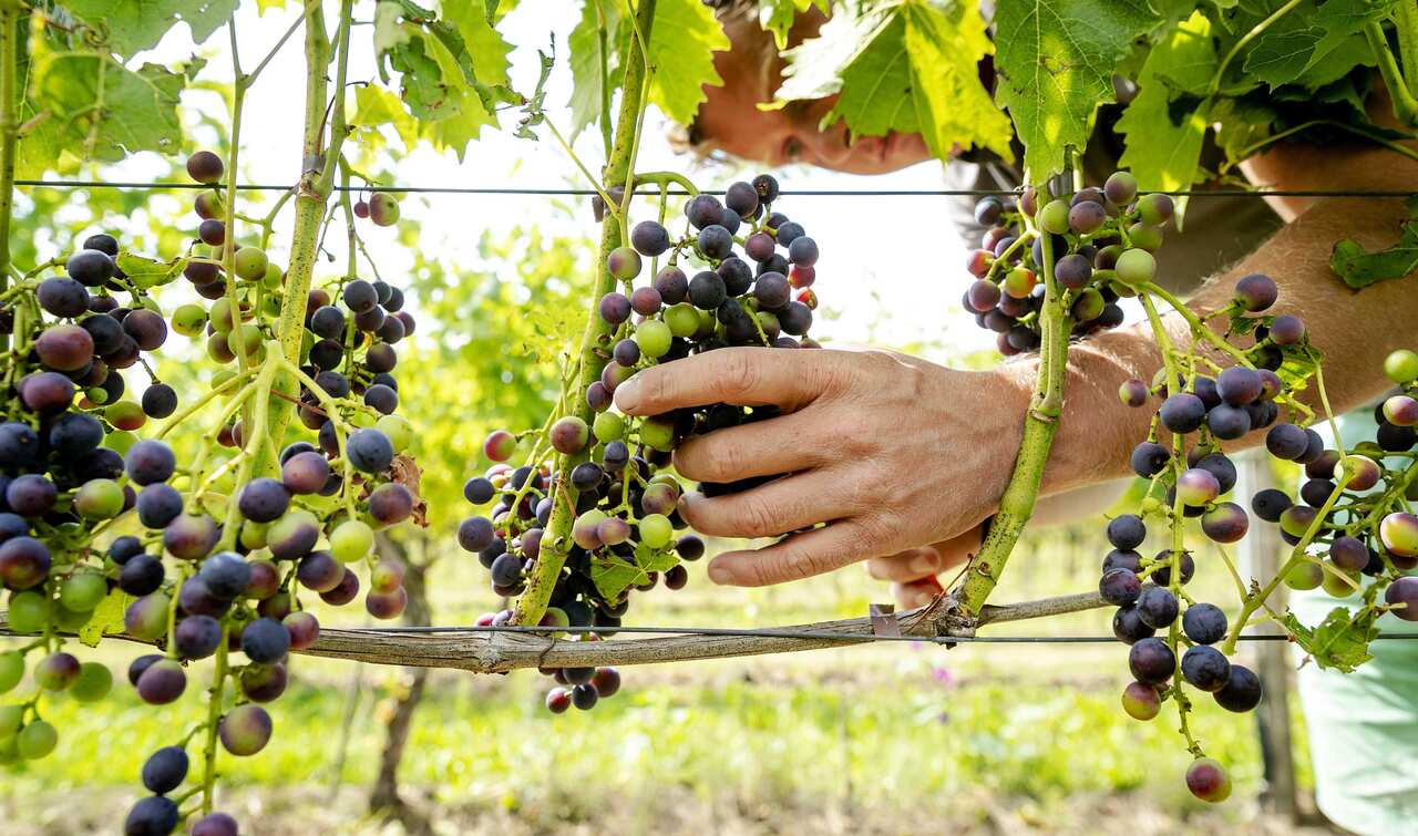 An increasing number of Australians fear what impact climate change will have on our food and water supplies.
