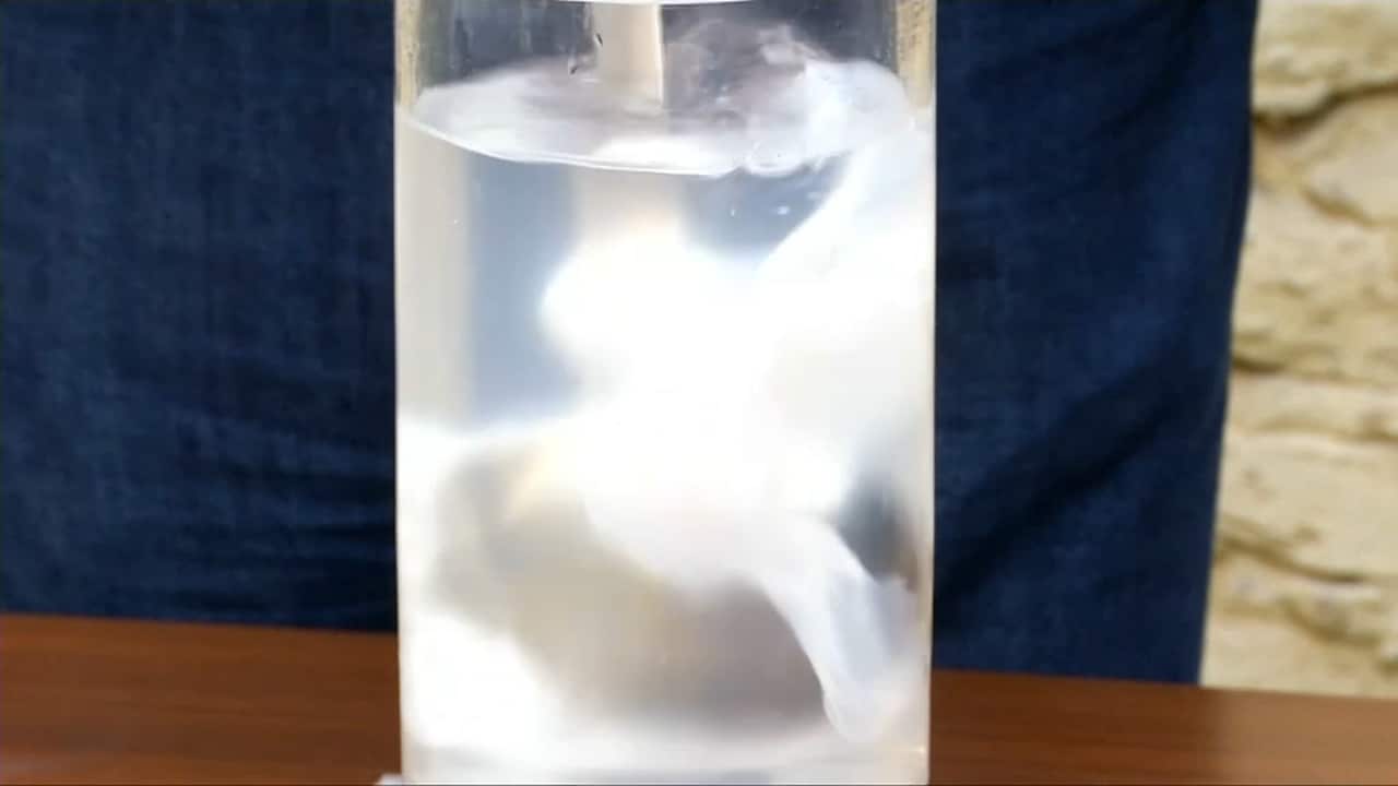 Those came up with the idea say the bags have the same capacity of any plastic product. The only difference is that they dissolve.