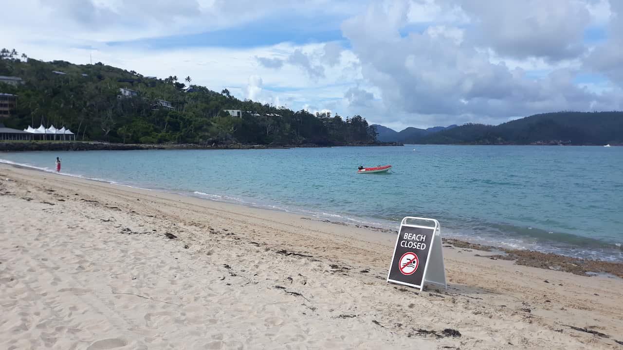 The cleared beach after the shark attack.