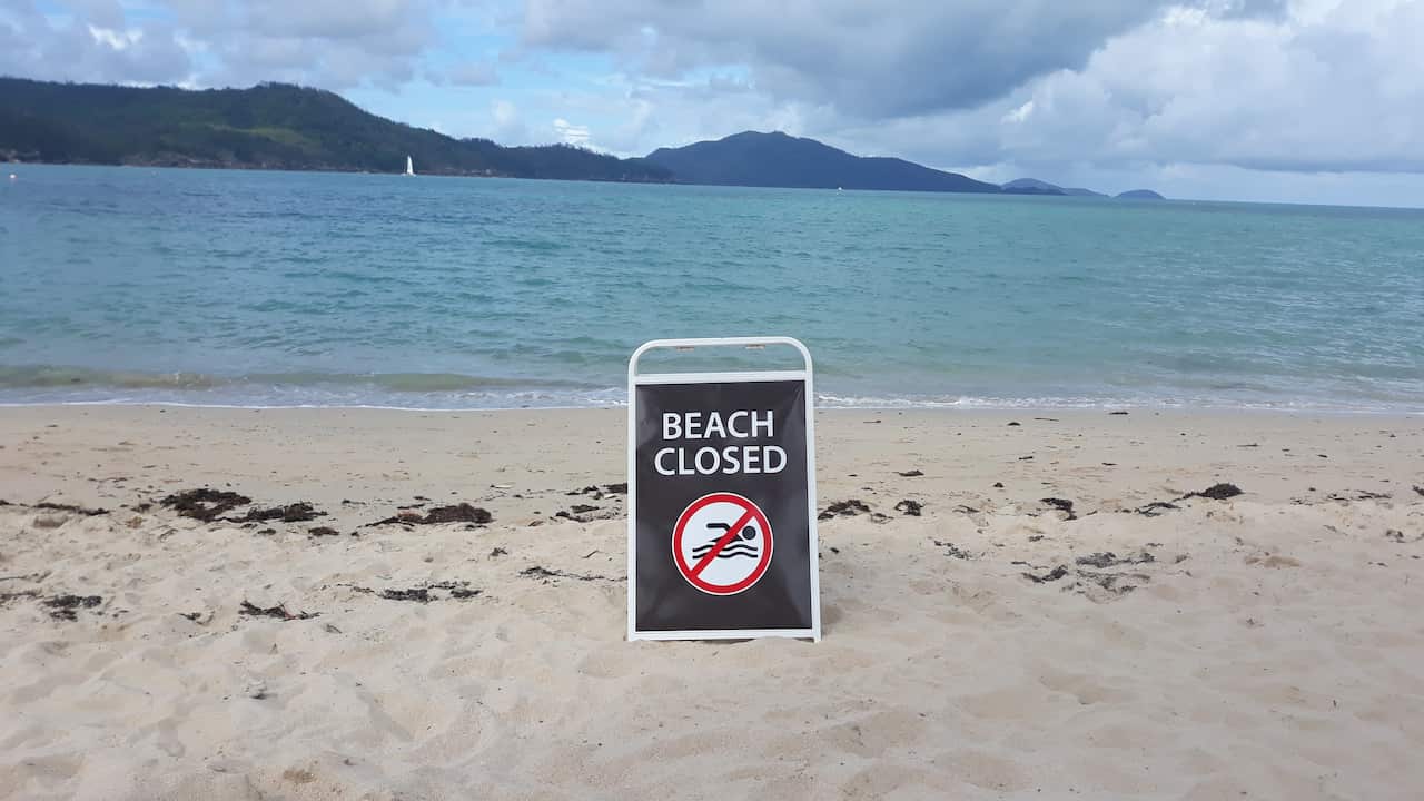 A girl and a woman have been attacked by a shark in shallow waters off Queensland's Hamilton Island.