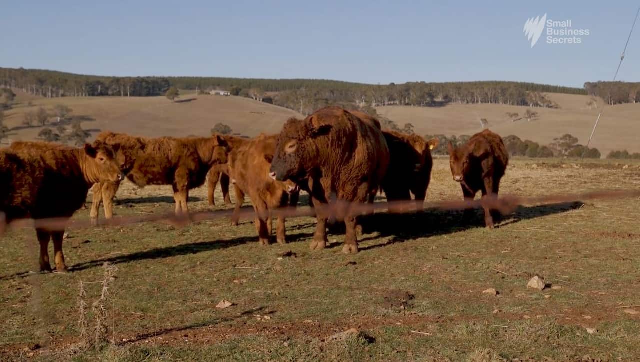 Australian grass fed Demeter certified Cowobbee beef, raised at Oberon NSW.