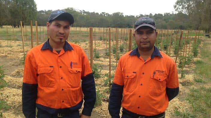Bhutanese refugees Tilah Chhetra and Rohit Khulal at the gardening project in Albury, New South Wales. 