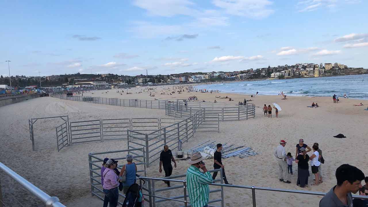 Beachgoers were greeted by a change of scene and pace.