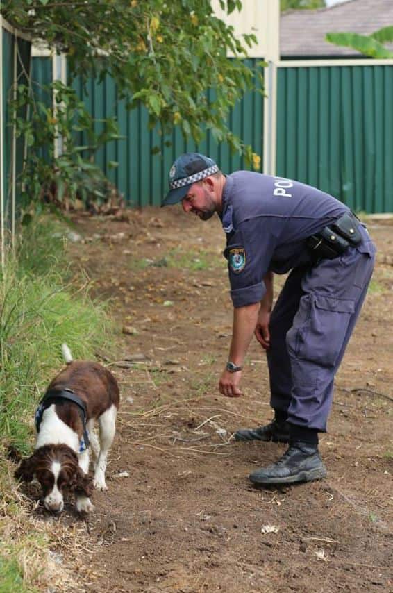 Police search bush land in Sydney's west after bones were discovered earlier this year.