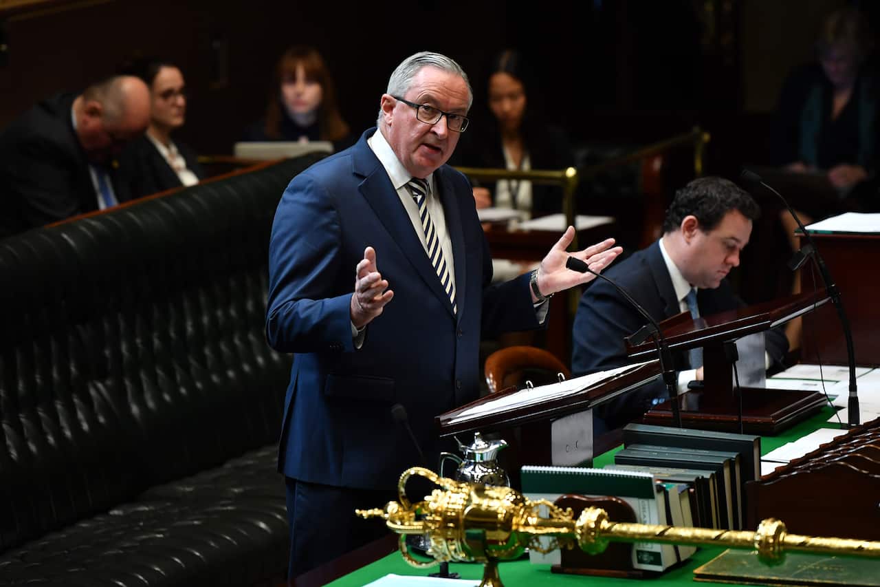 NSW Minister for Health and Medical Research Brad Hazzard speaks during debate.