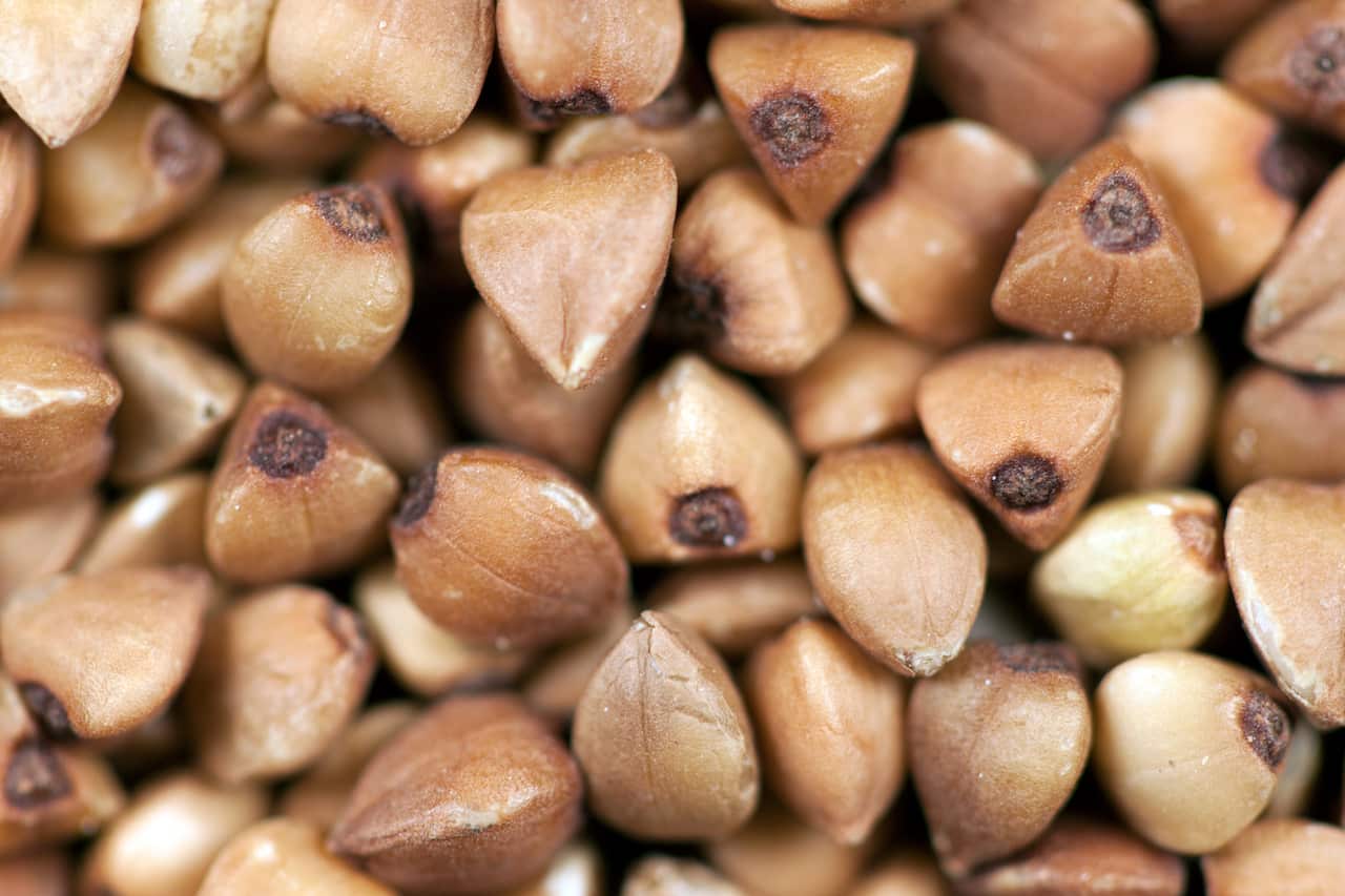 Buckwheat seeds (Flickr: ervins_strauhmanis)