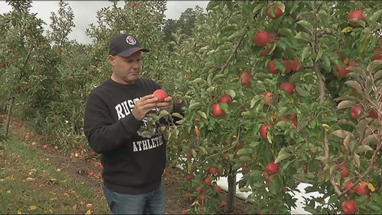 Budget 2016 response 