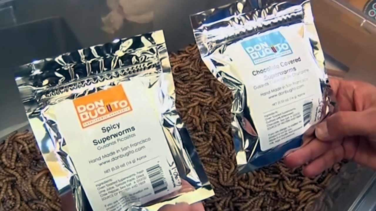 Food products from bugs