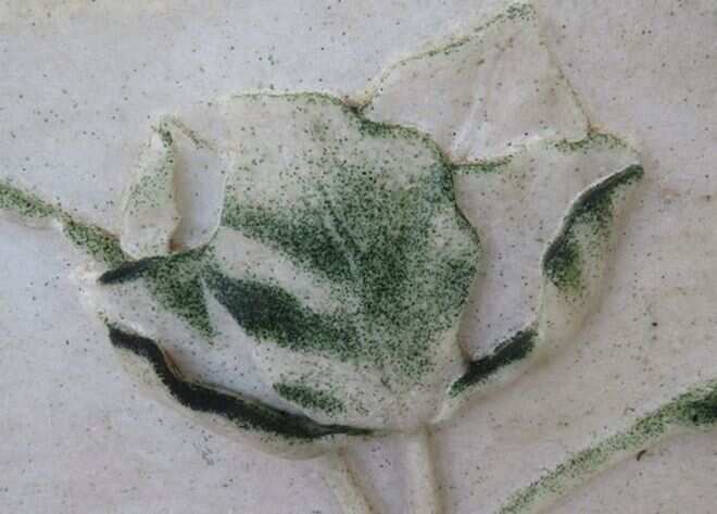 Insects are said to be adding to the discolouration of the monument