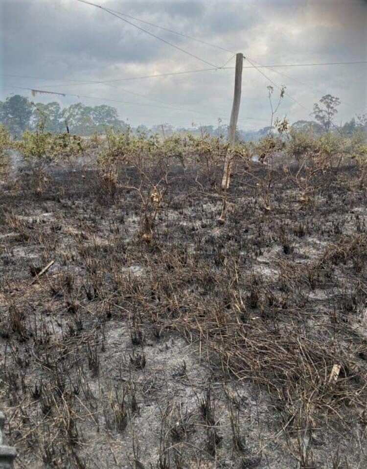 Fires caused more than three million dollars damage at Bilpin Fruit Bowl.