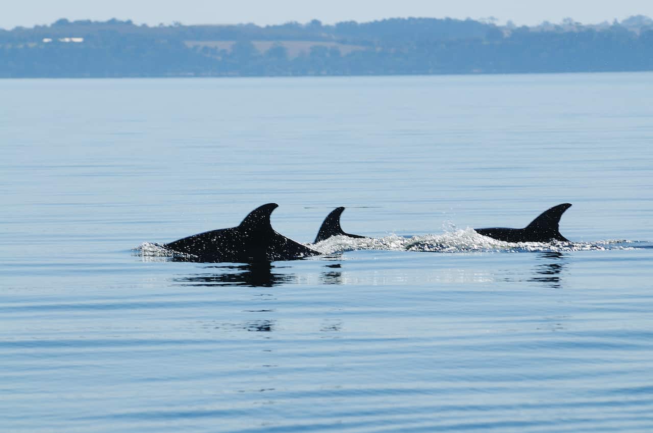 Lakes Entrance is a popular seachange destination.