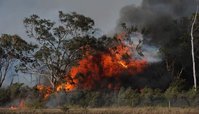 bushfire_crop_aap.jpg