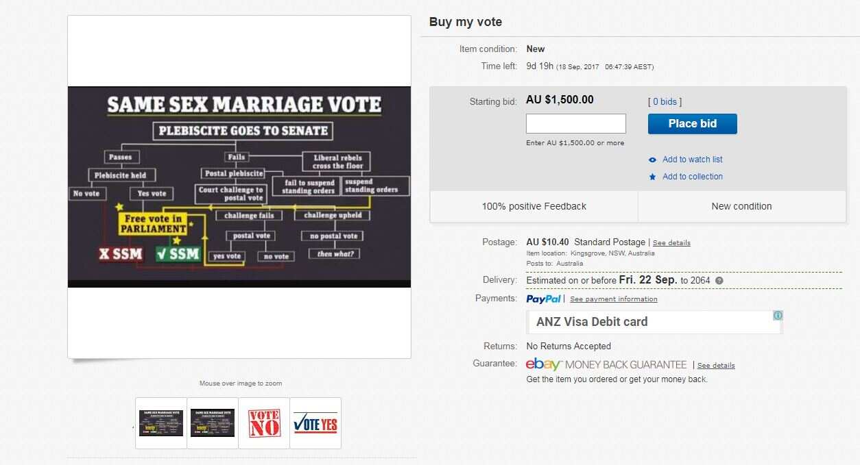 ebay listing buy my vote