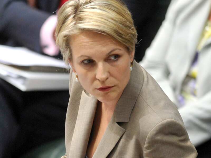 Close up of Tanya Plibersek in Parliament