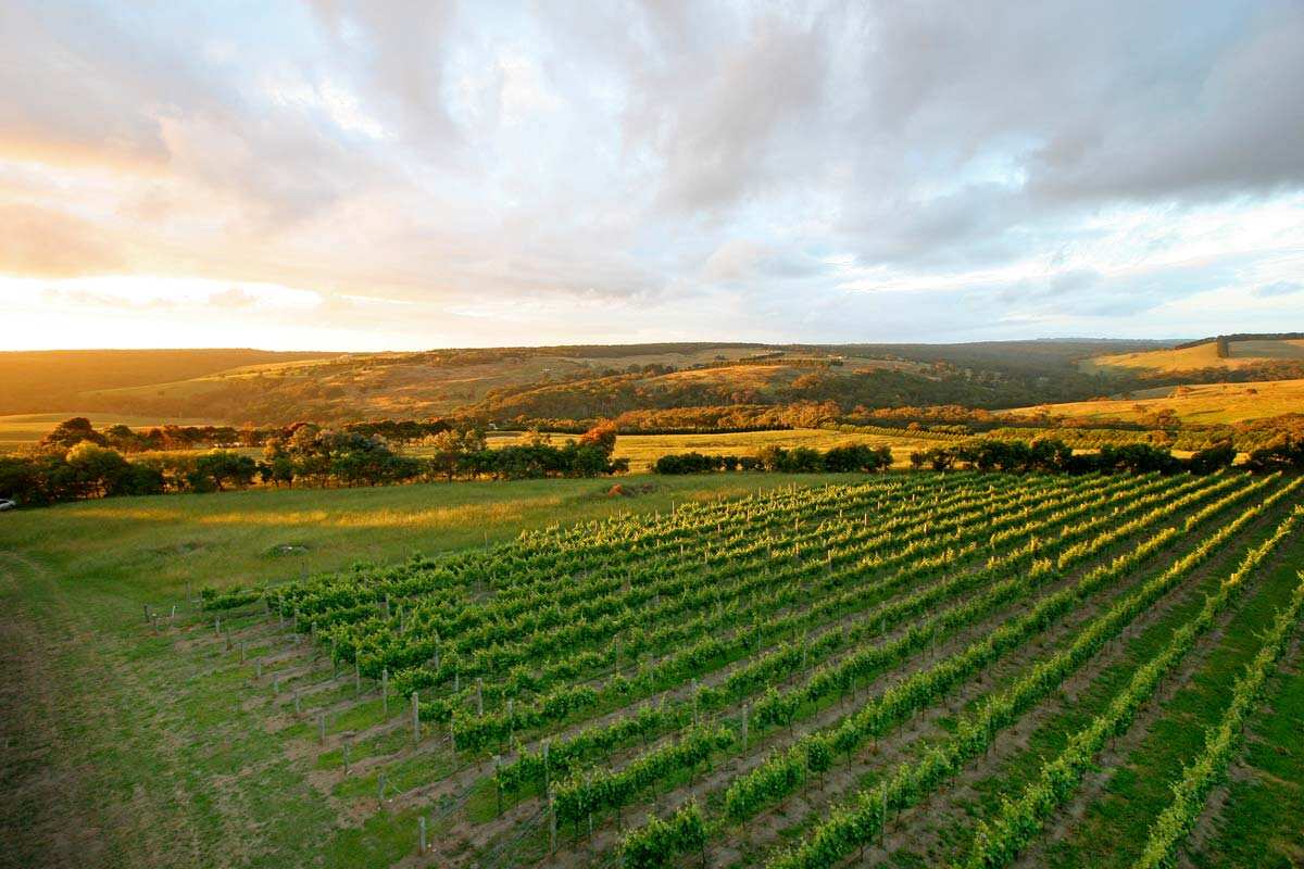 Nazaaray Estate Winery