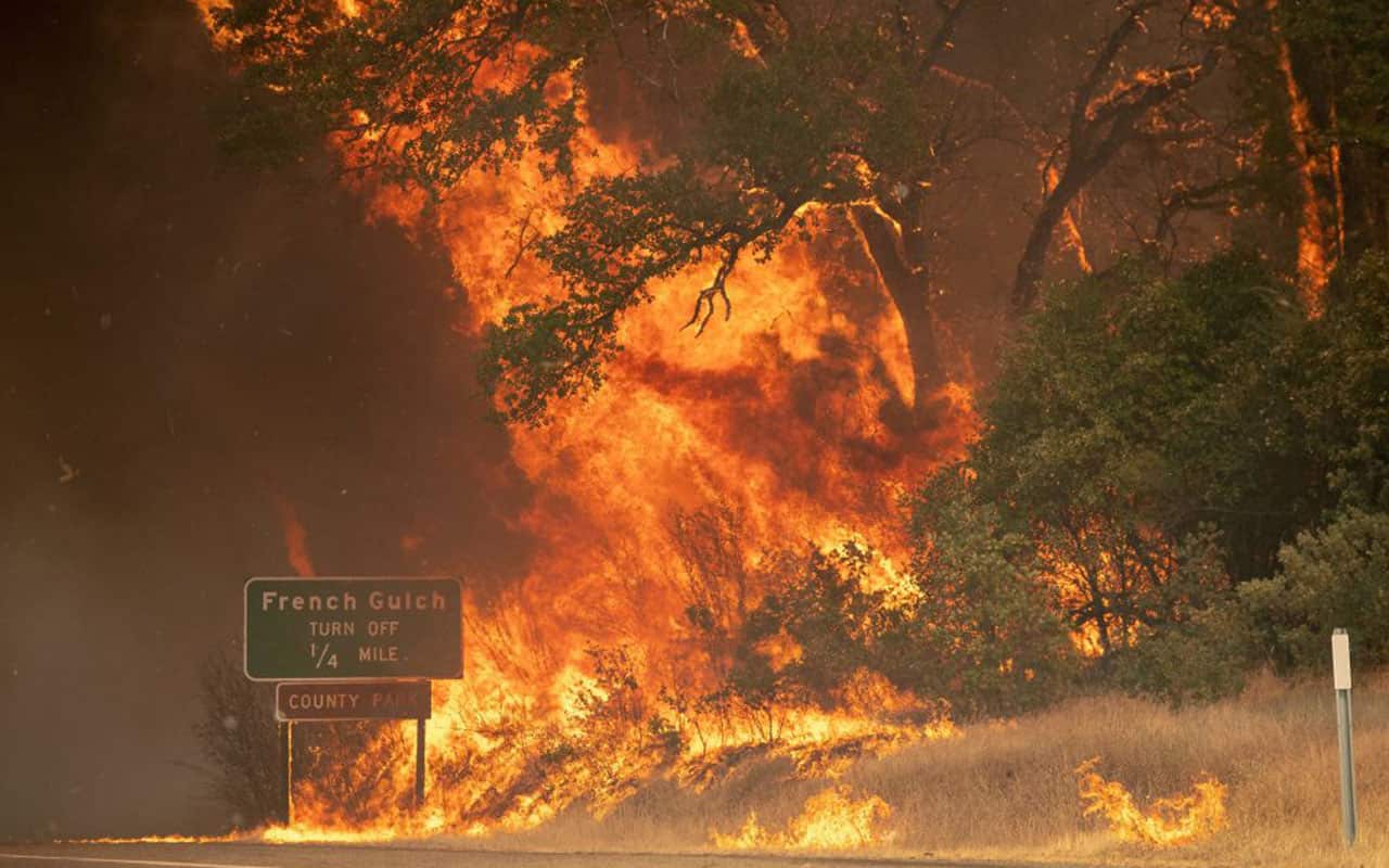 Trees burst into flame during the Carr fire near Whiskeytown, California on July 27, 2018.