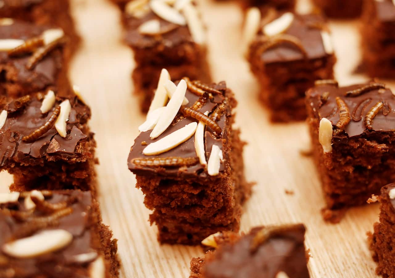 - Chocolate cake with mealworms from the "Hive", a machine to produce edible mealworms, Vienna, on January 7, 2016. / AFP / Dieter Nagl (Photo credit should read DIETER NAGL/AFP/Getty Images)