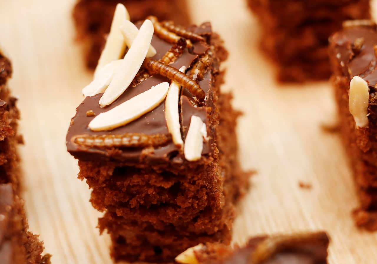 Chocolate cake with mealworms from the "Hive"