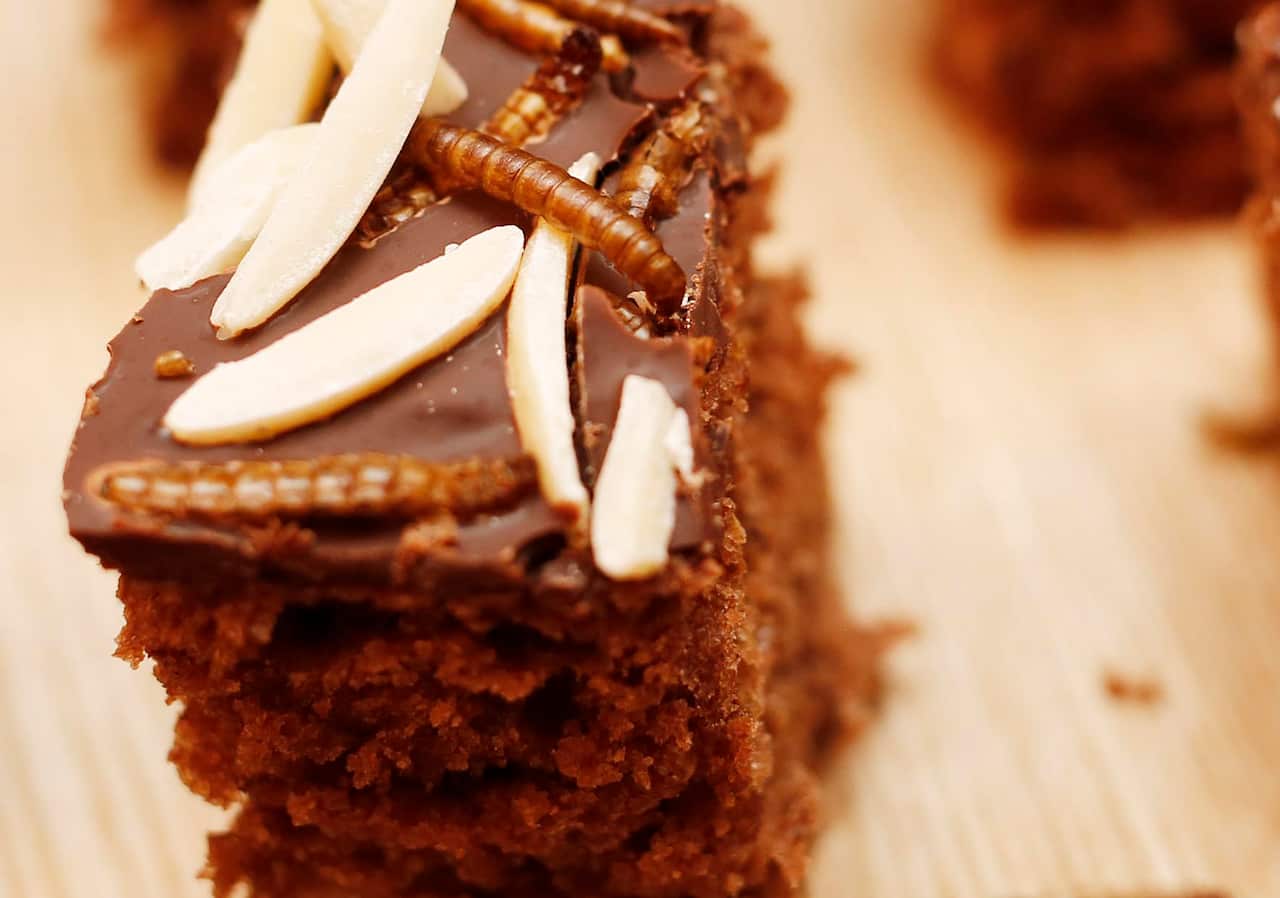 TO GO WITH AFP STORY BY SIMON STURDEE - Chocolate cake with mealworms from the "Hive", a machine to produce edible mealworms, Vienna, on January 7, 2016. / AFP / Dieter Nagl (Photo credit should read DIETER NAGL/AFP/Getty Images)