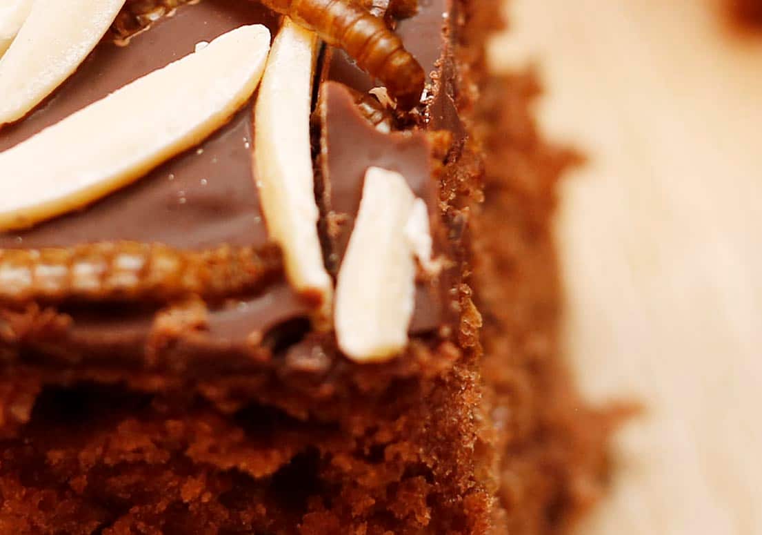 TO GO WITH AFP STORY BY SIMON STURDEE - Chocolate cake with mealworms from the "Hive", a machine to produce edible mealworms, Vienna, on January 7, 2016. / AFP / Dieter Nagl (Photo credit should read DIETER NAGL/AFP/Getty Images)