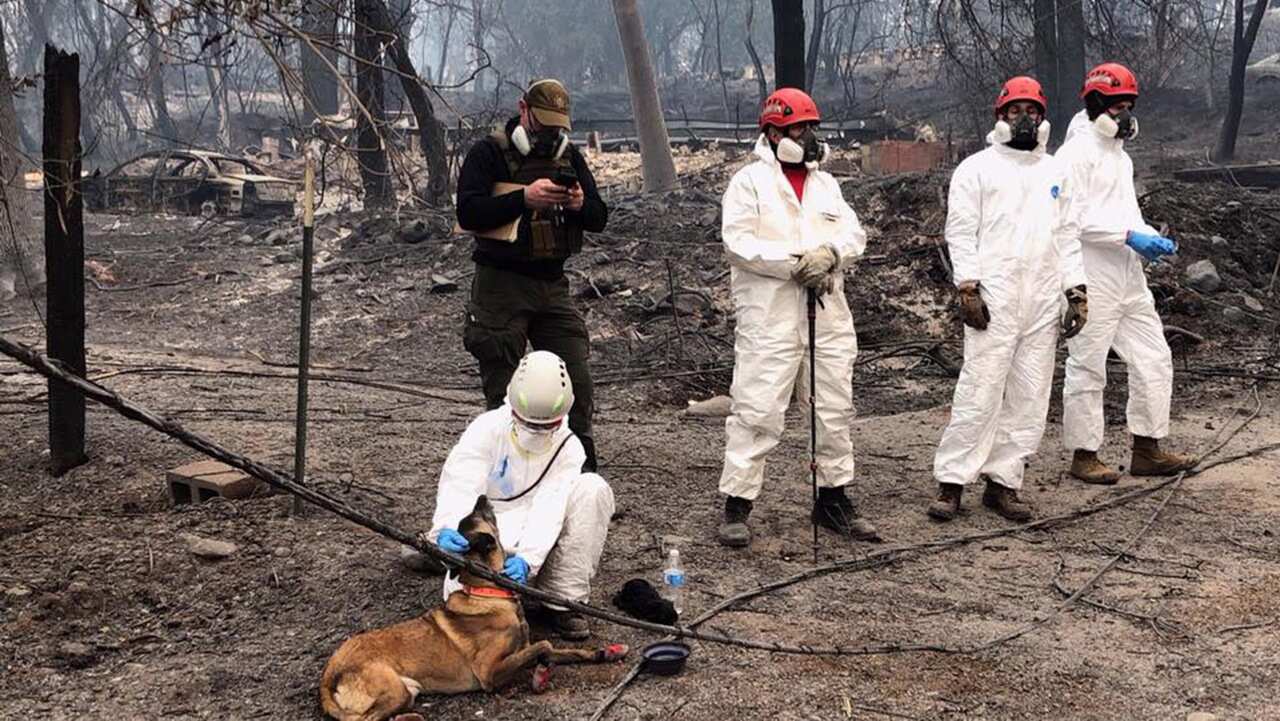 A team of rescue workers preparing to search for the remains of victims missing in the Camp Fire in Butte County, California, 16 November 2018.
