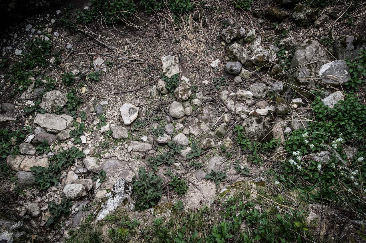 Snakes mate at the Narcisse Snake Dens in Narcisse, Canada.