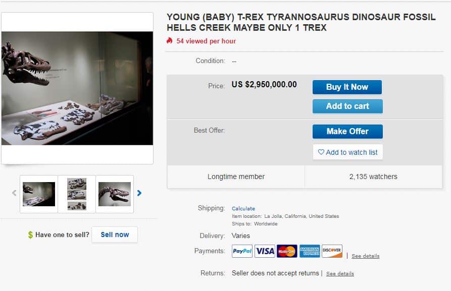 The eBay listing for the baby T-Rex fossil.