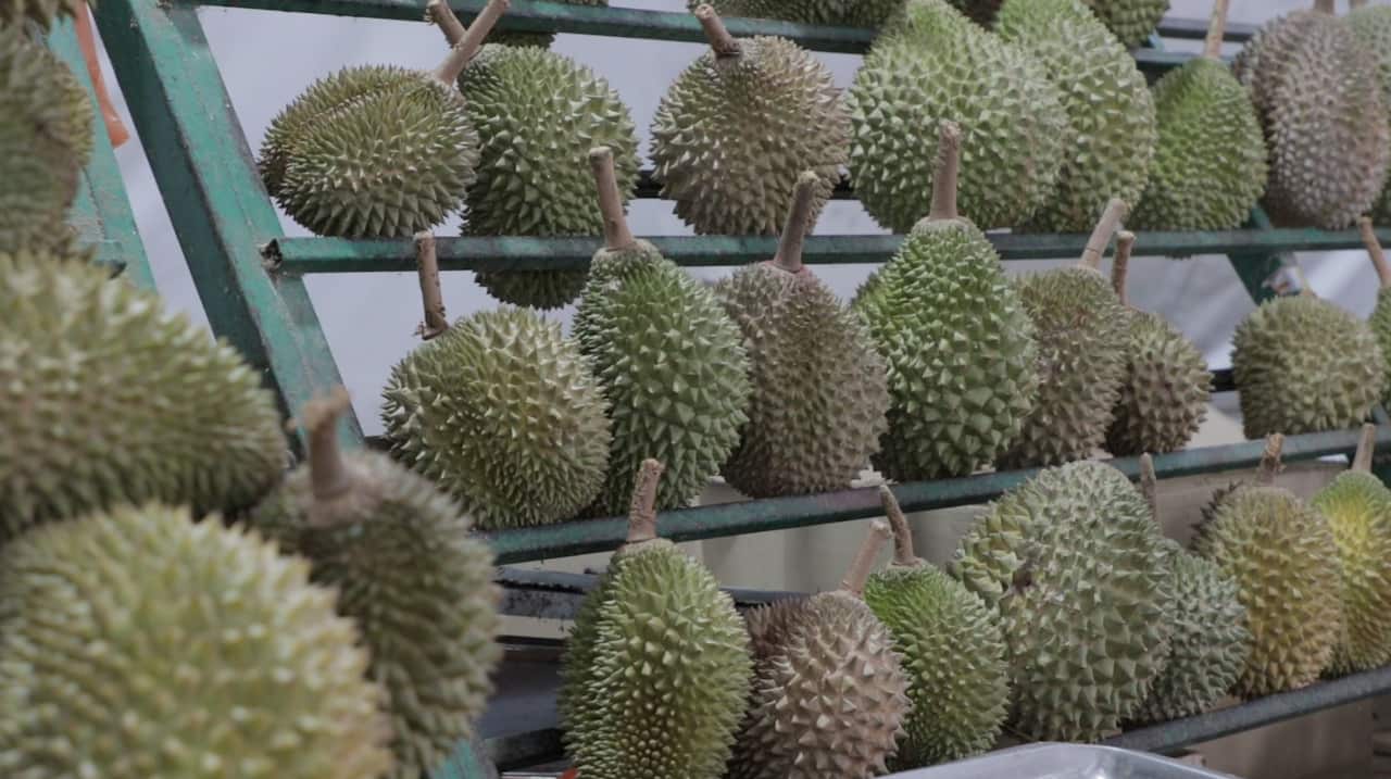 Durian