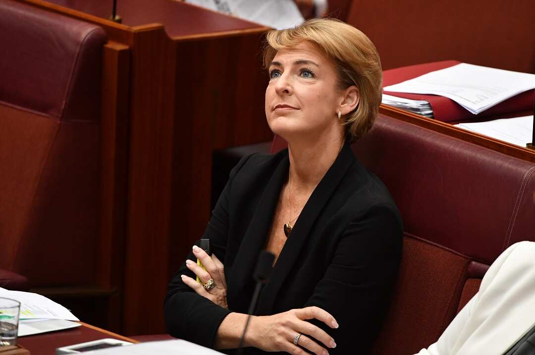 Minister for Small Business Michaelia Cash during Question Time in the Senate chamber at Parliament House in Canberra, Thursday, February 14, 2019. (AAP Image/Mick Tsikas) NO ARCHIVING
