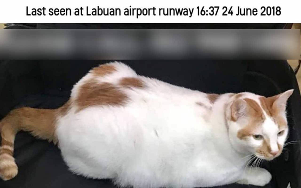 The airline said in a statement the incident was under investigation. 
