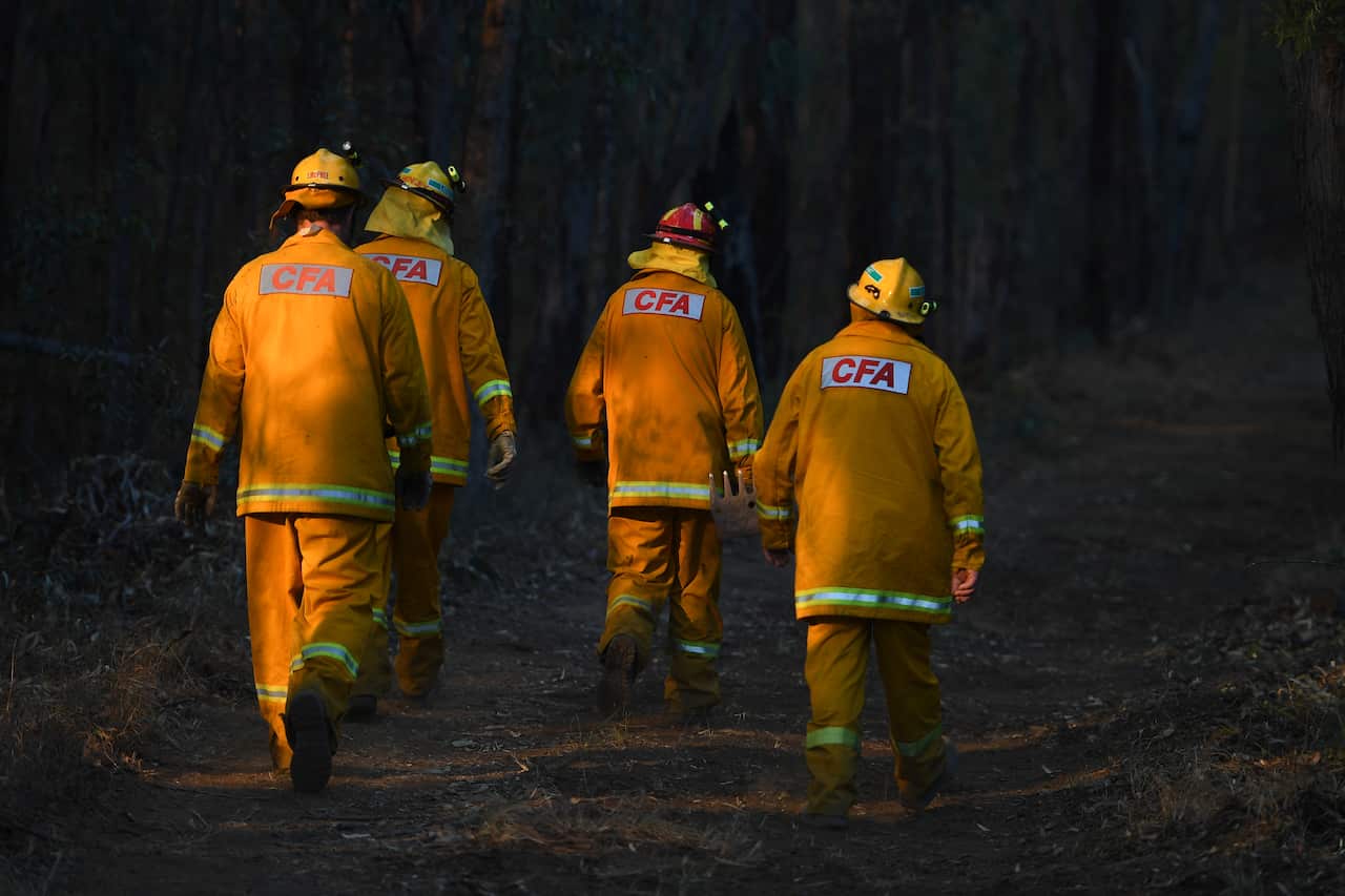 Four Victorian Country Fire Authority firefighters from behind, walking through blackened bushland.