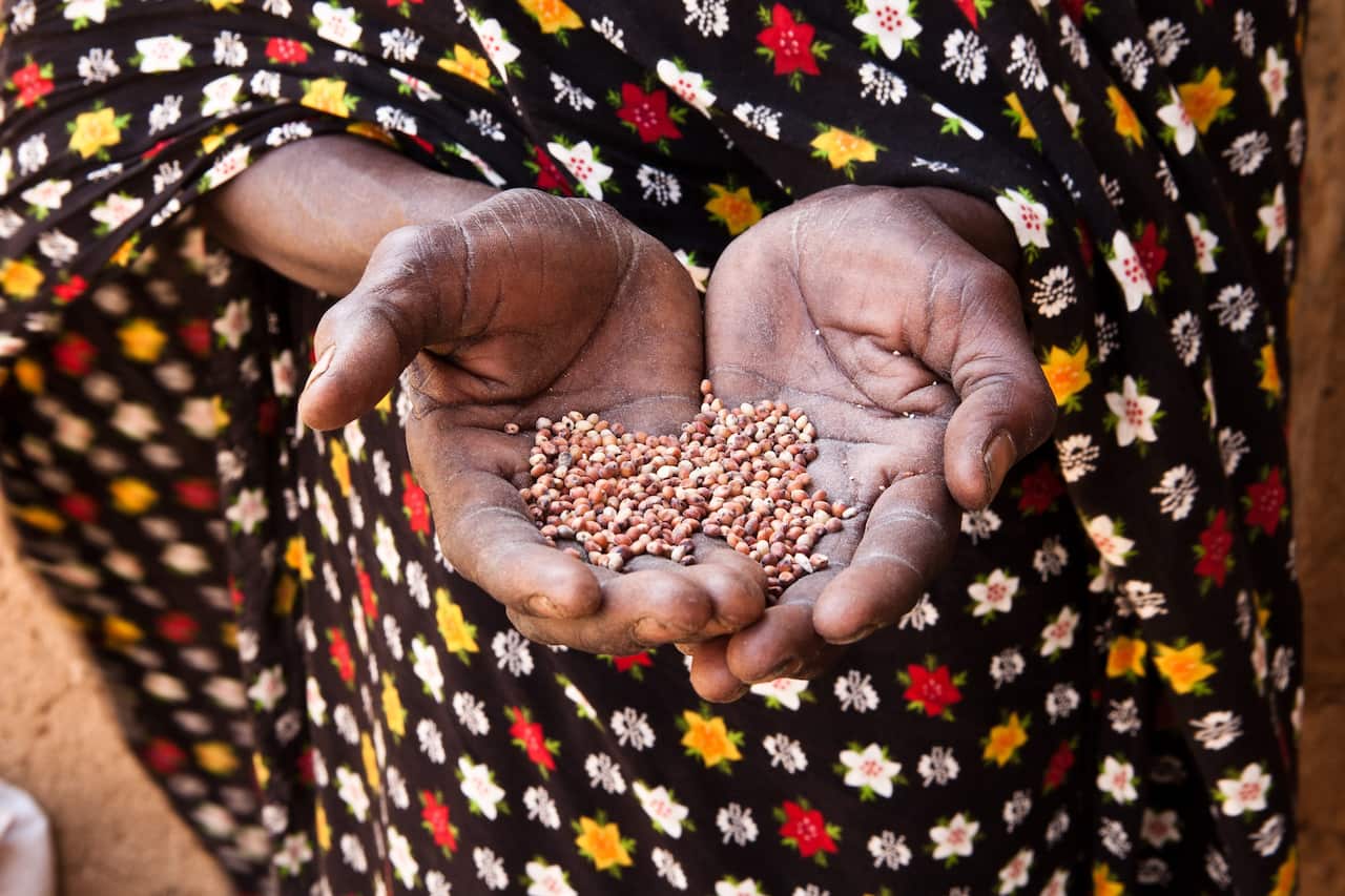 UN figures 3.6 million people are affected by the food crisis as of June 2012 in Cgad (AAP)